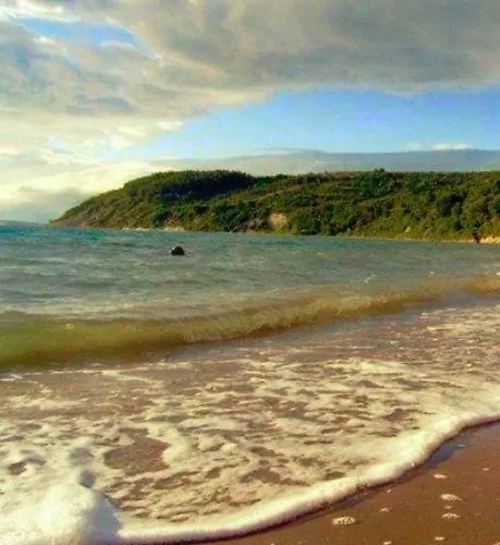 House Tamaris 펜션